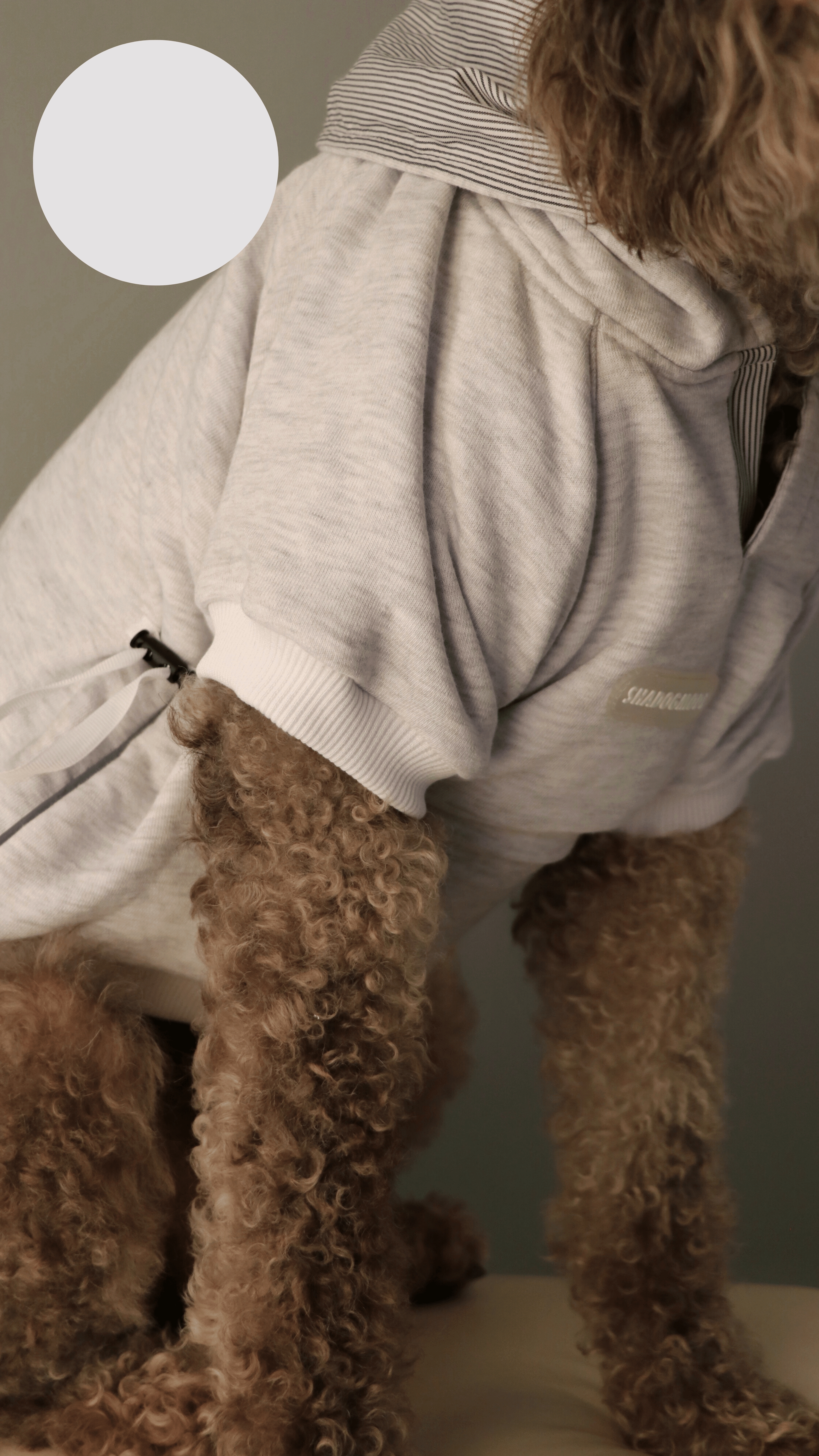 GREYBLACK HOODIE